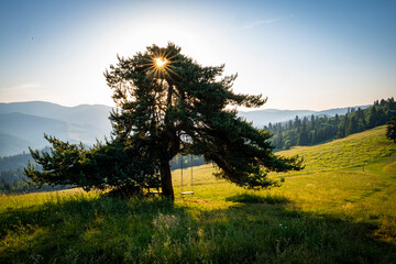 Huśtawka Pieniny piękne widoki, lato  © Maciej G. Szling