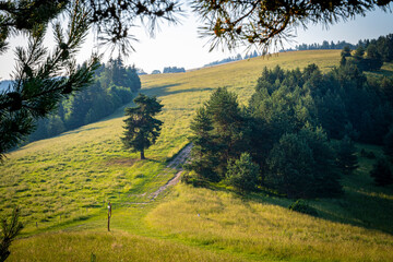 Pieniny, widoki polskich pięknych gór lato © Maciej G. Szling