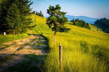 Pieniny, widoki polskich pięknych gór lato © Maciej G. Szling