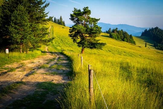 Pieniny, widoki polskich pięknych g&oacute;r lato