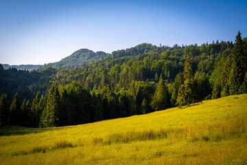 Pieniny, widoki polskich pięknych gór lato © Maciej G. Szling