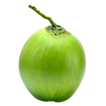 Fresh Green Coconut on White Background: A vibrant green coconut, unripe and ready to be enjoyed for its refreshing water, presented in isolation.
