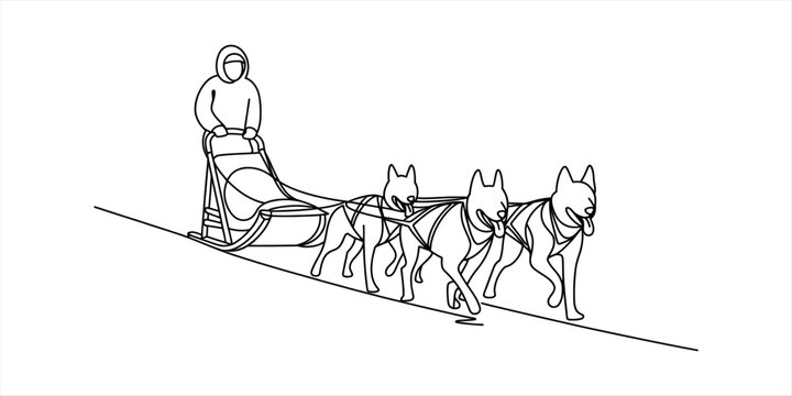 A musher driving a dog sled pulled by three huskies running through the snow in a cold winter landscape illustration for outdoor adventure sports