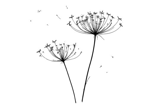 Delicate Wildflower Silhouette