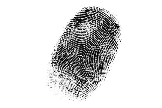 Fingerprint Identification Mark