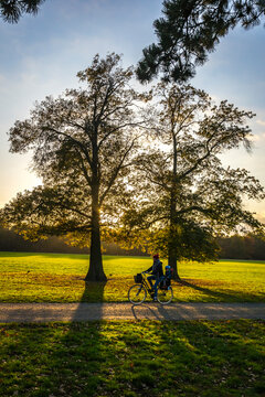 Rosenthal, a forest park in Leipzig, Saxony, Germany, located north of the historic city center within the protected Leipzig Riverside Forest (Leipziger Auwald)