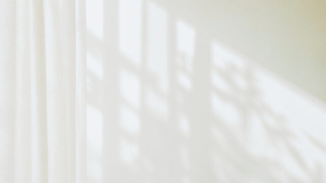 window shadow palm tree on wall background