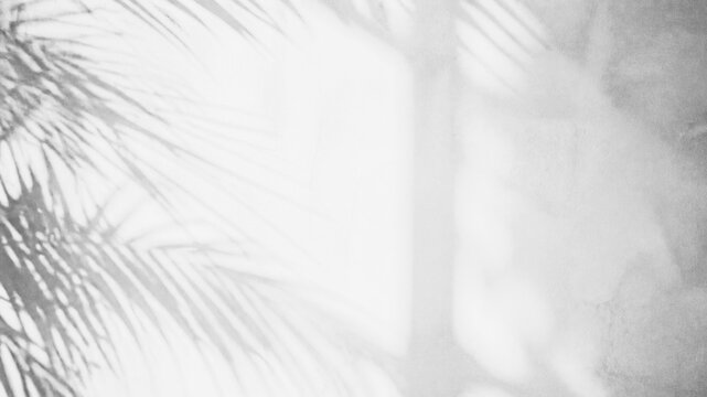 shadow black and white abstract background