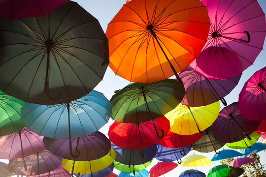 Colorful umbrellas hanging overhead in an outdoor installation, vibrant decorative display, creative background, summer festival.