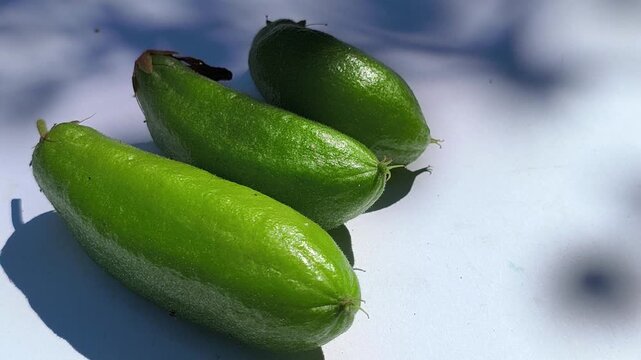 Fresh green belimbing wuluh (Averrhoa bilimbi) fruits growing on a tropical tree, featuring elongated sour fruits commonly used as a culinary ingredient in Indonesian cuisine.