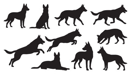 Obraz premium Belgian Malinois Dog Silhouette Bundle | 10 Black Working Dog Vector Poses
