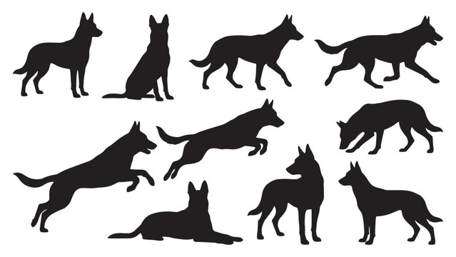 Belgian Malinois Dog Silhouette Bundle | 10 Black Working Dog Vector Poses