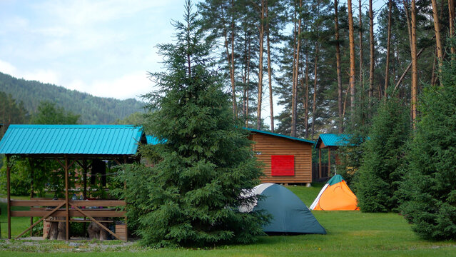 Beautiful tourist campsite with green and orange tents under tall pine trees next to wooden picnic shelters and cottages in countryside.