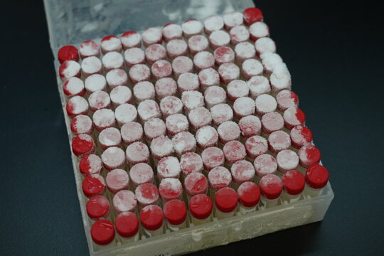 Frozen laboratory cryovials stored in a biobank freezer rack.