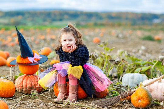 Little girl in witch costume with broom on pumpkin patch field in autumn. Child dressed up for Halloween celebration outdoors. Real life, real people