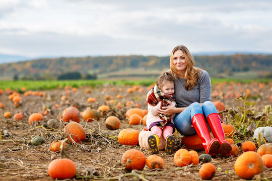 Little preschool girl and young mother on pumpkin patch with lots of pumpkins in autumn field. Happy child and woman, family enjoying harvest season outdoors. Real life, real people.