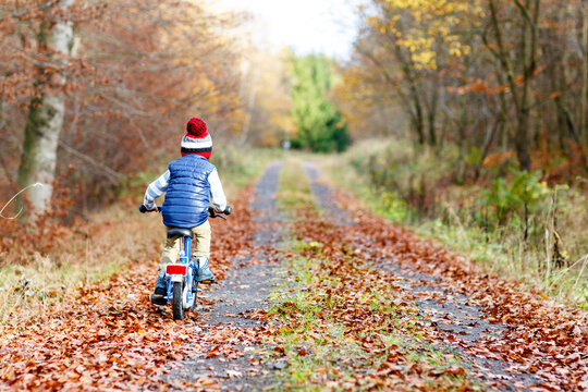 Little Kid Boy in Colorful Warm Clothes in Autumn Forest Park Driving Bicycle. Active Child Cycling on Sunny Fall Day in Nature. Safety, Sports, Leisure with Kids Concept. Casual Fashion for Children