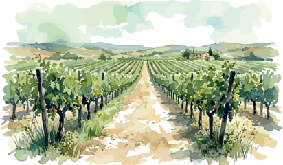 Fotobehang Beige Beautiful watercolor vineyard landscape with rows of grapevines and rural path isolated on white background tuscany wine region graphic design vector illustration  © MstBizly