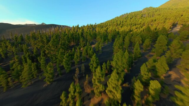 Tajogaite Volcano, La Palma, Canary Islands, Spain
