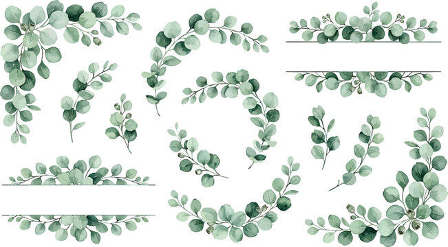 Watercolor eucalyptus foliage collection with decorative frames and corner arrangements for wedding stationery and botanical graphic design