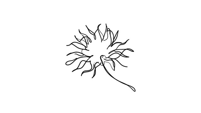 Abstract line art neuron cell white background.