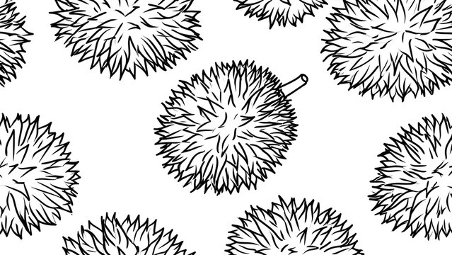 Black and white durian fruit illustration white background.