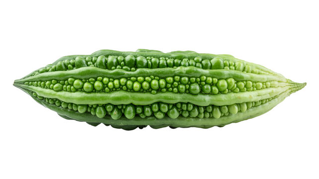 Fresh raw bitter melon isolated on a white background for healthy eating concepts