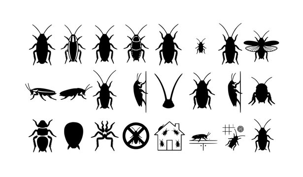 Cockroach Vector Illustration Set with Realistic Roach Insect Anatomy Pest Control Collection