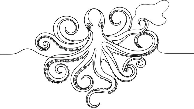 Elegant octopus line art illustration white background.
