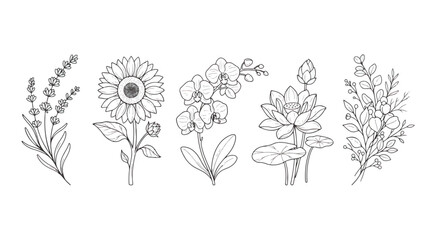 Minimalist floral line art collection, set of 5 botanical vector illustrations featuring lavender, sunflower, orchid, lotus, and eucalyptus branches © Rehan