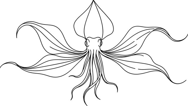 Elegant squid line art illustration white background.
