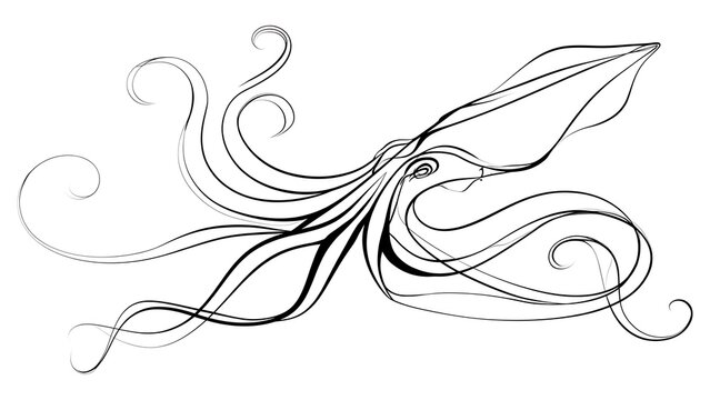 Elegant squid line art illustration white background.