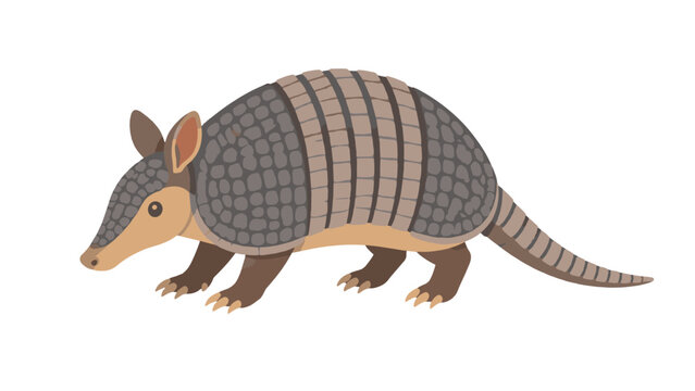 Cartoon armadillo side view isolated on white background
