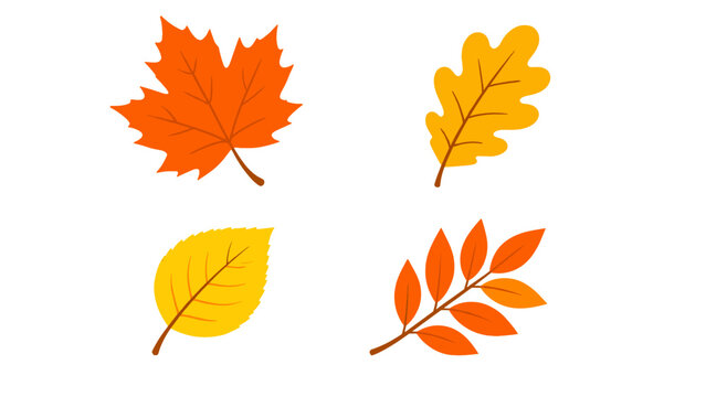 Set of four colorful autumn leaves in flat vector style