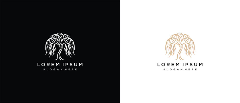 Elegant Weeping Willow Tree Logo Design