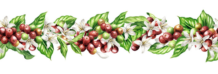 Branch of coffee tree pattern, seamless border.  Original Hand drawn watercolor illustration, isolated on white background © dariaustiugova