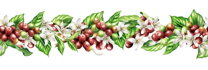 Branch of coffee tree pattern, seamless border.  Original Hand drawn watercolor illustration, isolated on white background © dariaustiugova