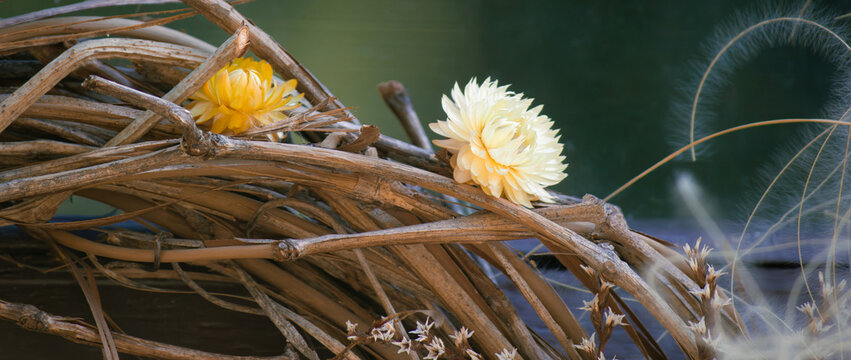 Close-up of dried strawflower blossoms woven into a natural vine wreath composition.