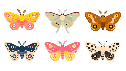 Fototapeta premium Set of colorful moth illustrations isolated on white background