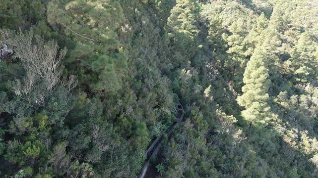 Aerial push in drone shot reveals a single hiker walking on winding water canals on the Las Ventanas de G&uuml;&iacute;mar trail, along the remote mountain forest of Monta&ntilde;a Pinocho on Tenerife, Canary Islands.