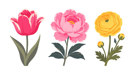 Fototapeta premium Set of pink and yellow flower illustrations isolated on white