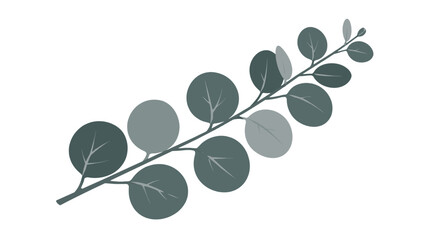 Minimal eucalyptus branch with round leaves on white background © Artstock