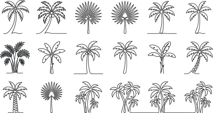 Minimalist continuous line art palm tree collection featuring tropical coconut palms banana leaves fan palms and grouped beach trees for summer vacation designs vector