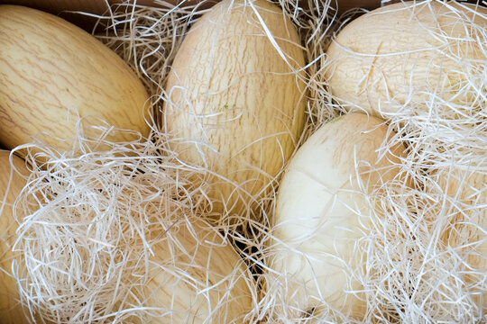 Close-up of fresh melons at a farmers market