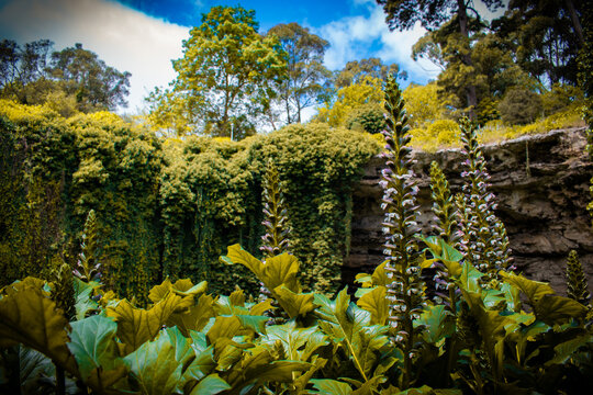 Australia, The Umpherston Sinkhole is one of the most spectacular gardens located in the Mount Gambier region. This 20-meter-deep limestone crater was transformed into a lush public park.