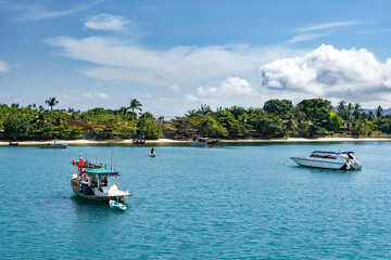 Fototapeta premium Small boats and tourist speedboats docked near a tropical beach with palm trees