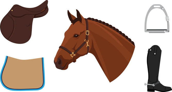Equestrian riding equipment collection featuring horse head, saddle, saddle pad, stirrup, and riding boot in flat vector illustration