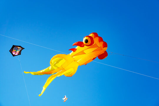 A large yellow and red rooster shaped kite flies high in a clear blue sky, alongside smaller kites, at a kite festival.
