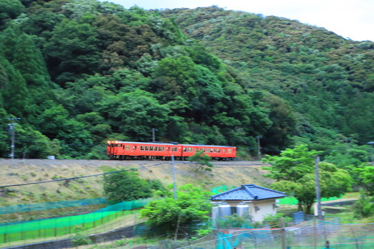 山深い夕刻の山陰本線を疾走するJR西日本キハ47形気動車_2026/6/20撮影