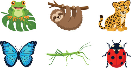 Fototapeta premium Cute wildlife animal collection featuring tree frog, sloth, leopard cub, blue butterfly, stick insect, and ladybug cartoon vector illustration
